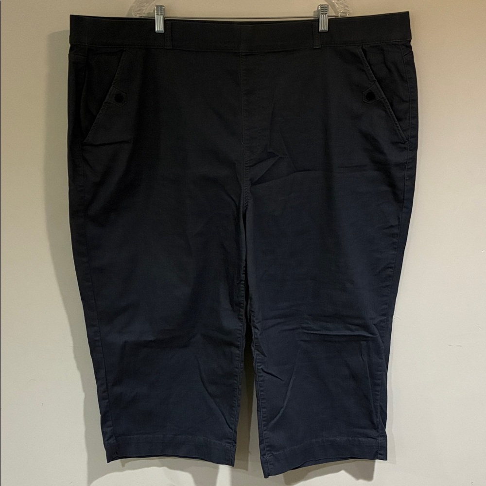 Women’s Terra & Sky Cropped Wide Leg Pants